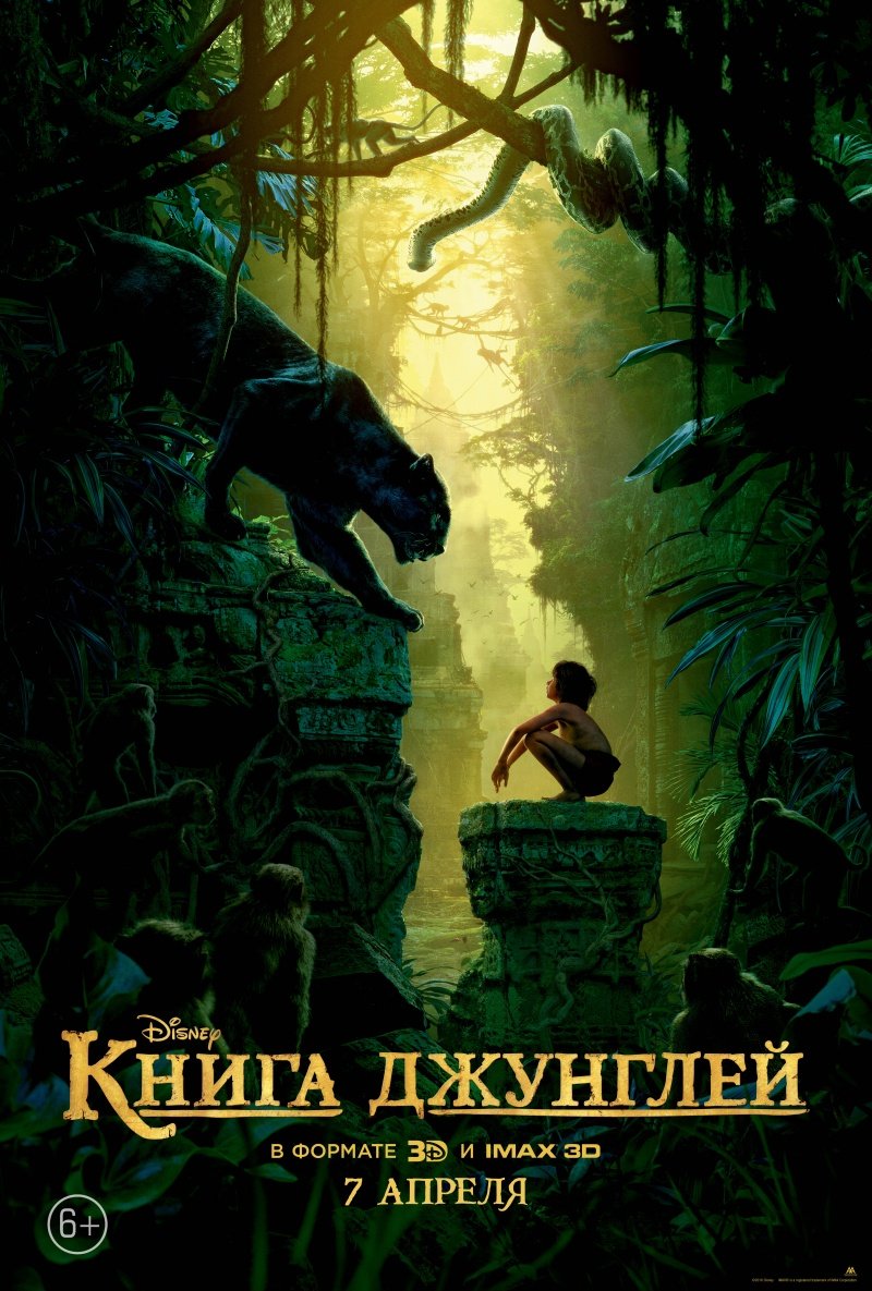 подписчики бесплатно