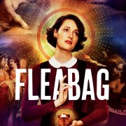 Клоповник (Флибэг) / Fleabag все серии