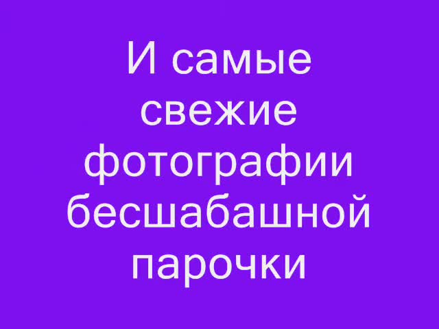 Потап Новый Год Текст Потап Новый Год Текст
